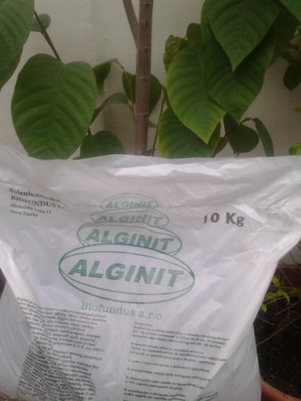 Originálne balenie prírodného Alginitu